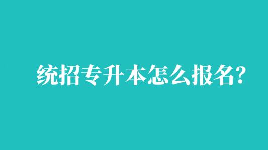 統(tǒng)招專升本怎么報名？