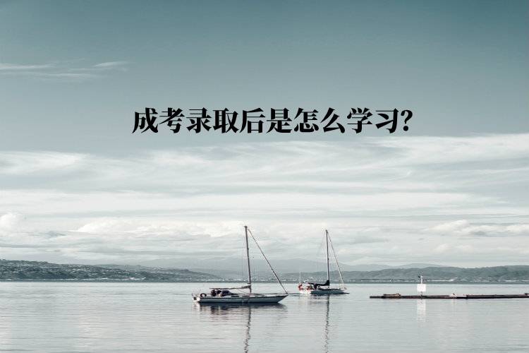 成考錄取后是怎么學習？