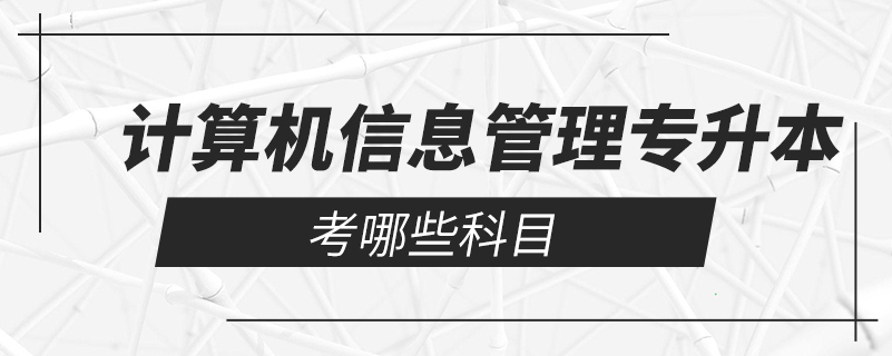 計算機信息管理專升本考哪些科目