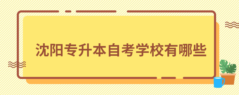 沈陽專升本自考學校有哪些