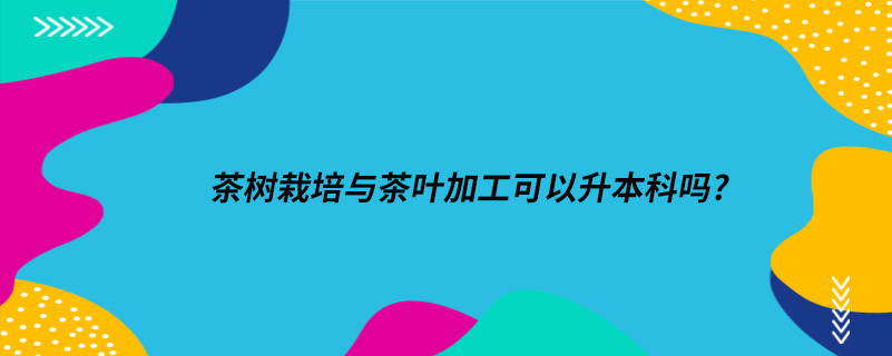 茶樹栽培與茶葉加工可以升本科嗎?