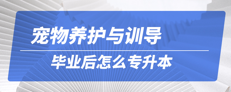 寵物養(yǎng)護(hù)與訓(xùn)導(dǎo)畢業(yè)后怎么專升本