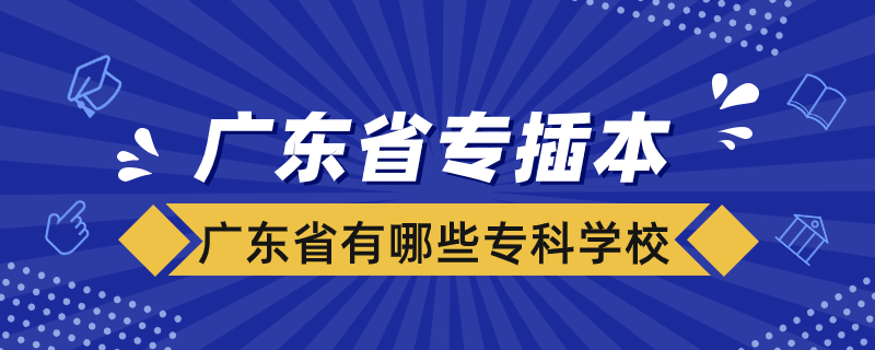 廣東省有哪些?？茖W(xué)校可以專插本