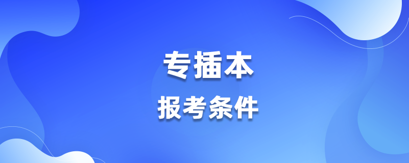 專插本報(bào)考條件