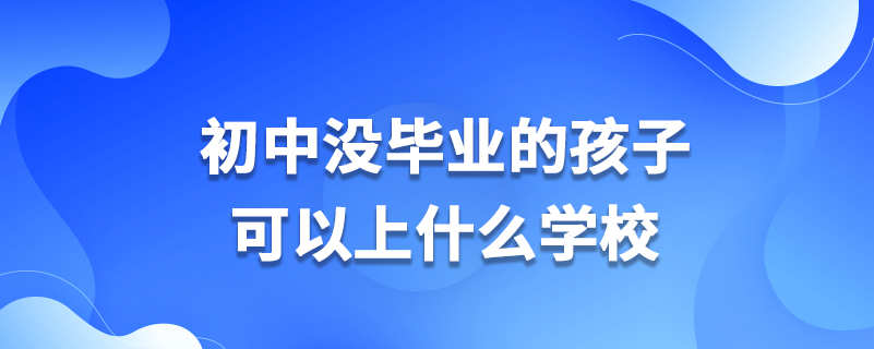 初中沒畢業(yè)的孩子可以上什么學校