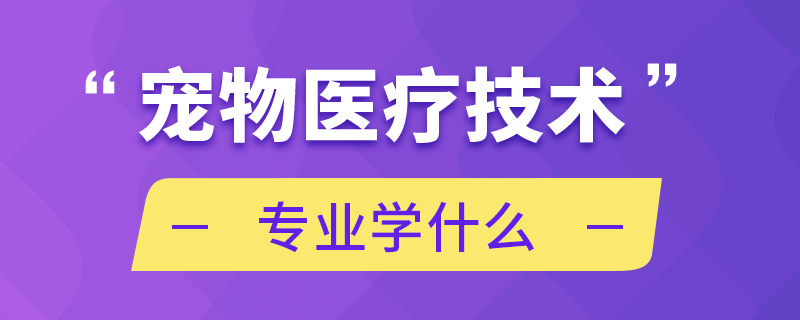 寵物醫(yī)療技術專業(yè)學什么