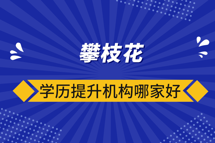 攀枝花學(xué)歷提升機(jī)構(gòu)哪家好