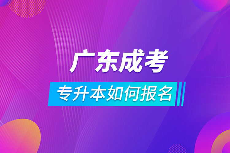 廣東成考專升本如何報(bào)名