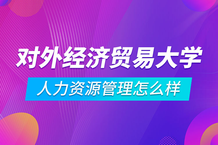 對外經(jīng)濟貿易大學人力資源管理專業(yè)怎么樣