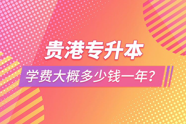 貴港專升本學(xué)費(fèi)大概多少錢一年？