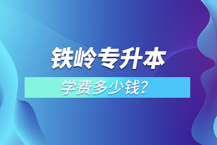 鐵嶺專升本學(xué)費(fèi)大概多少錢一年？