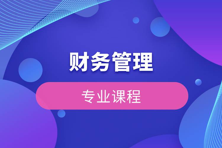 財(cái)務(wù)管理專業(yè)課程