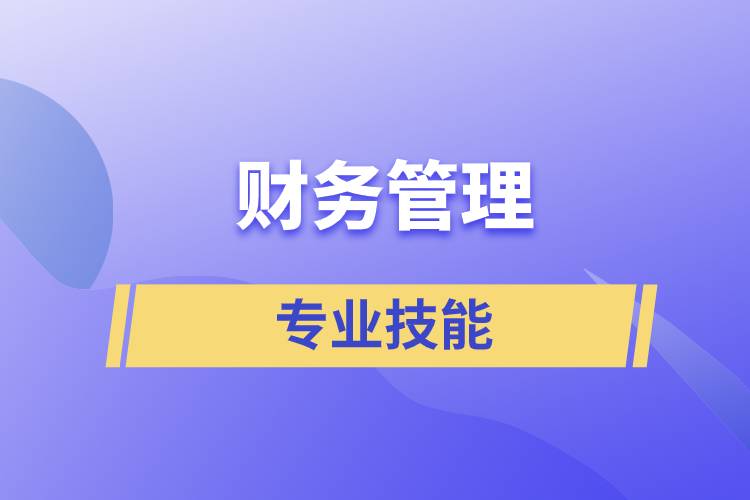 財務(wù)管理的專業(yè)技能