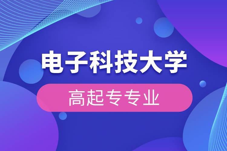 電子科技大學高起專專業(yè)