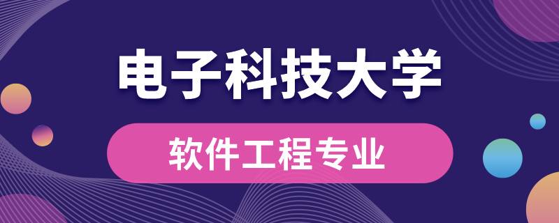 電子科技大學軟件工程專業(yè)課有什么