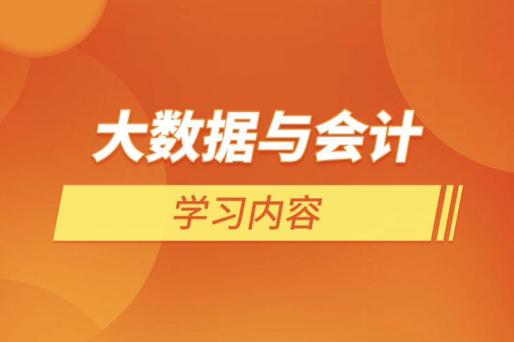 大數(shù)據(jù)與會(huì)計(jì)學(xué)習(xí)內(nèi)容