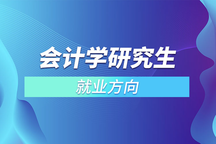 會計學(xué)研究生就業(yè)方向