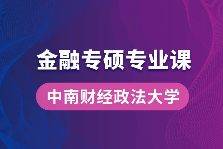 中南財經(jīng)政法大學(xué)金融專碩專業(yè)課