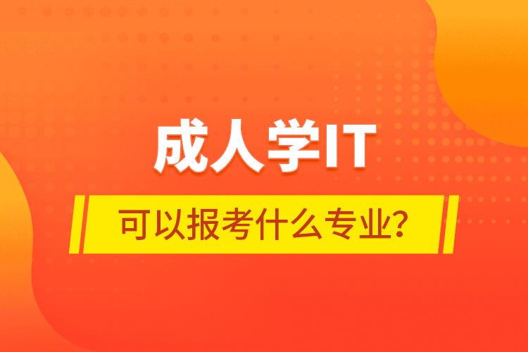 成人學IT可以報考什么專業(yè)？