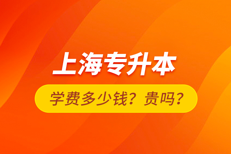 上海專升本學(xué)費多少錢？貴嗎？