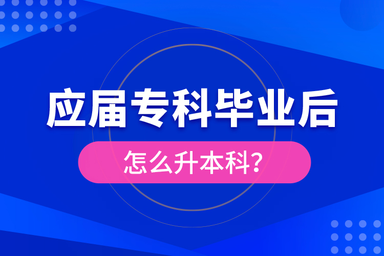 應(yīng)屆專科畢業(yè)后怎么升本科？