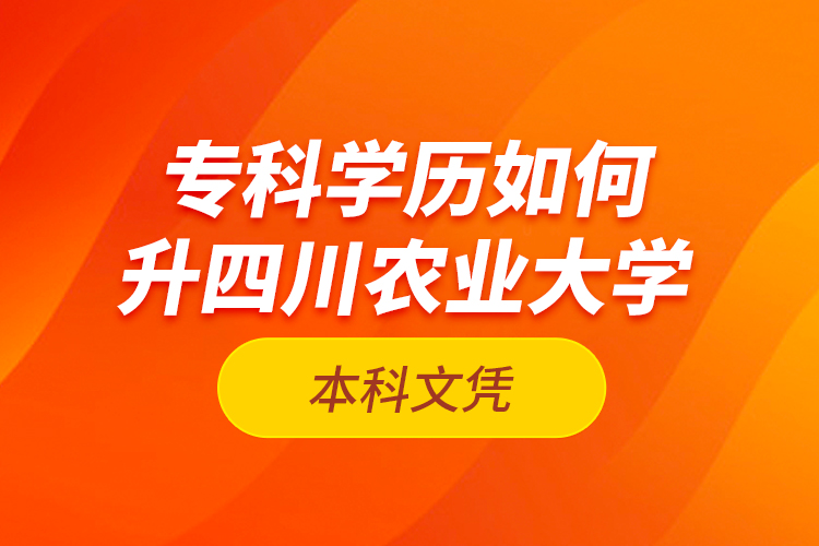 專科學(xué)歷如何升四川農(nóng)業(yè)大學(xué)本科文憑