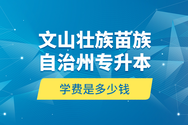 文山壯族苗族自治州專升本學(xué)費(fèi)是多少錢？