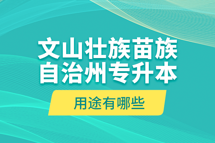 文山壯族苗族自治州專升本的用途有哪些？