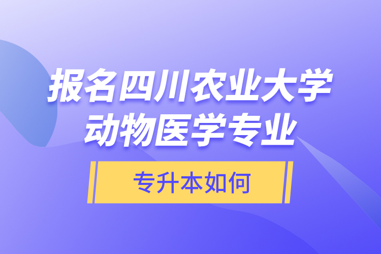 報名四川農(nóng)業(yè)大學動物醫(yī)學專業(yè)專升本如何？