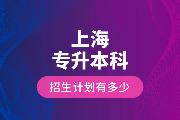 上海專升本科招生計劃有多少？