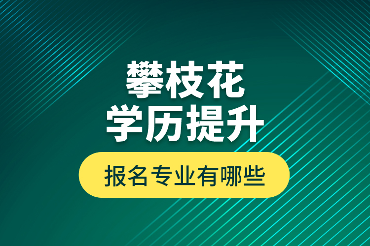 攀枝花學歷提升報名專業(yè)有哪些？