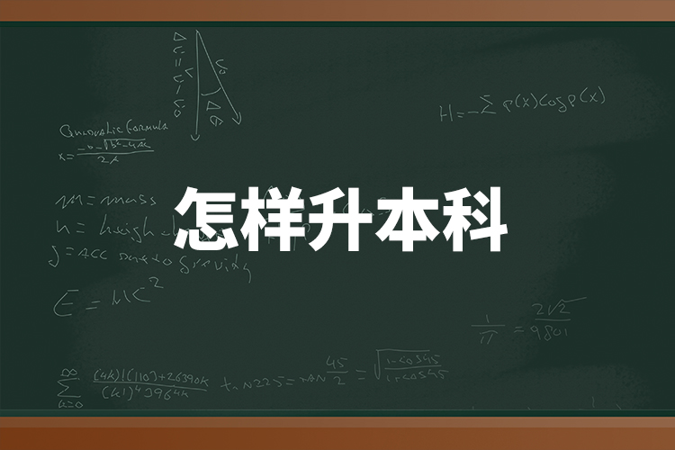 怎樣升本科？